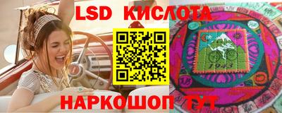шишки Пугачёв
