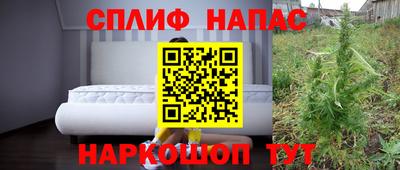 шишки Пугачёв