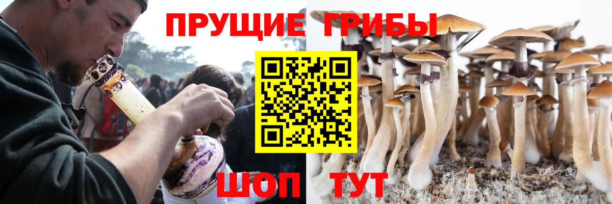 Пушкино  Галлюциногенные грибы Psilocybine cubensis  где купить наркотик  Вход с VPN 